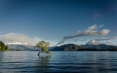 It’s Flood Season — Coverage When it Comes to Water Damage